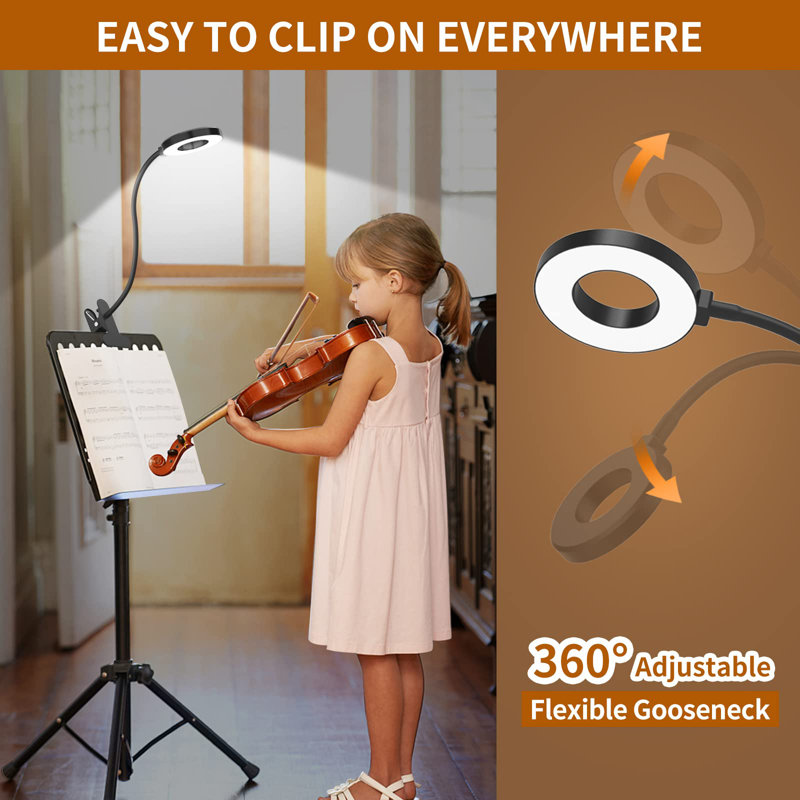Brandale Clip On Lamp, Black
