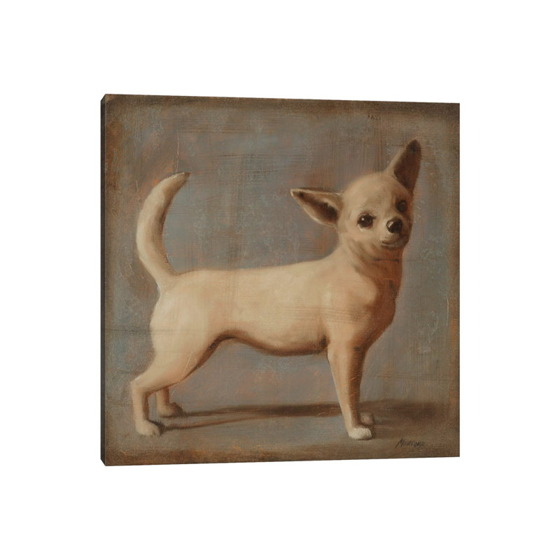 Chihuahua II by Julianne Marcoux - Wrapped Canvas Print, 30.48cm H x 30.48cm W x 1.905cm D