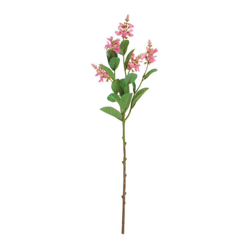 Vaporisateur floral Blossom, Rose