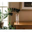 Glass Table Vase