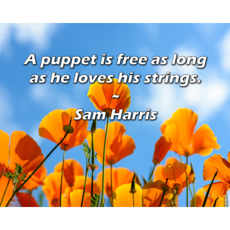 Artsy Quote "A puppet is free as long as he loves his strings." By Sam Harris Gallery Wrapped Canvas, 17" H x 24" W