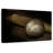 Sireci Softball Bat-108697057