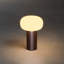 Antibes Cordless Table Lamp - USB Rechargeable, RGB Dimmable LED, Elegant Design-110764248