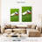 Sireci Outdoor Cricket Equipment