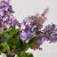 Real Touch Purple Lilac Blooms & Seeding Branches in Factice Vase Spring Water Illusion Arrangement