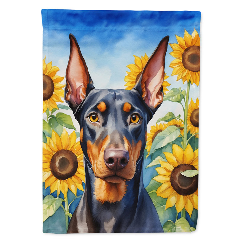Lévrier irlandais dans le drapeau du jardin de tournesols, Doberman pinscher