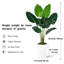  Arbre de 49 po en forme de feuille de bananier en pot 49 po, décoré contre les rayons UV pour la décoration intérieure (ensemble de 2)