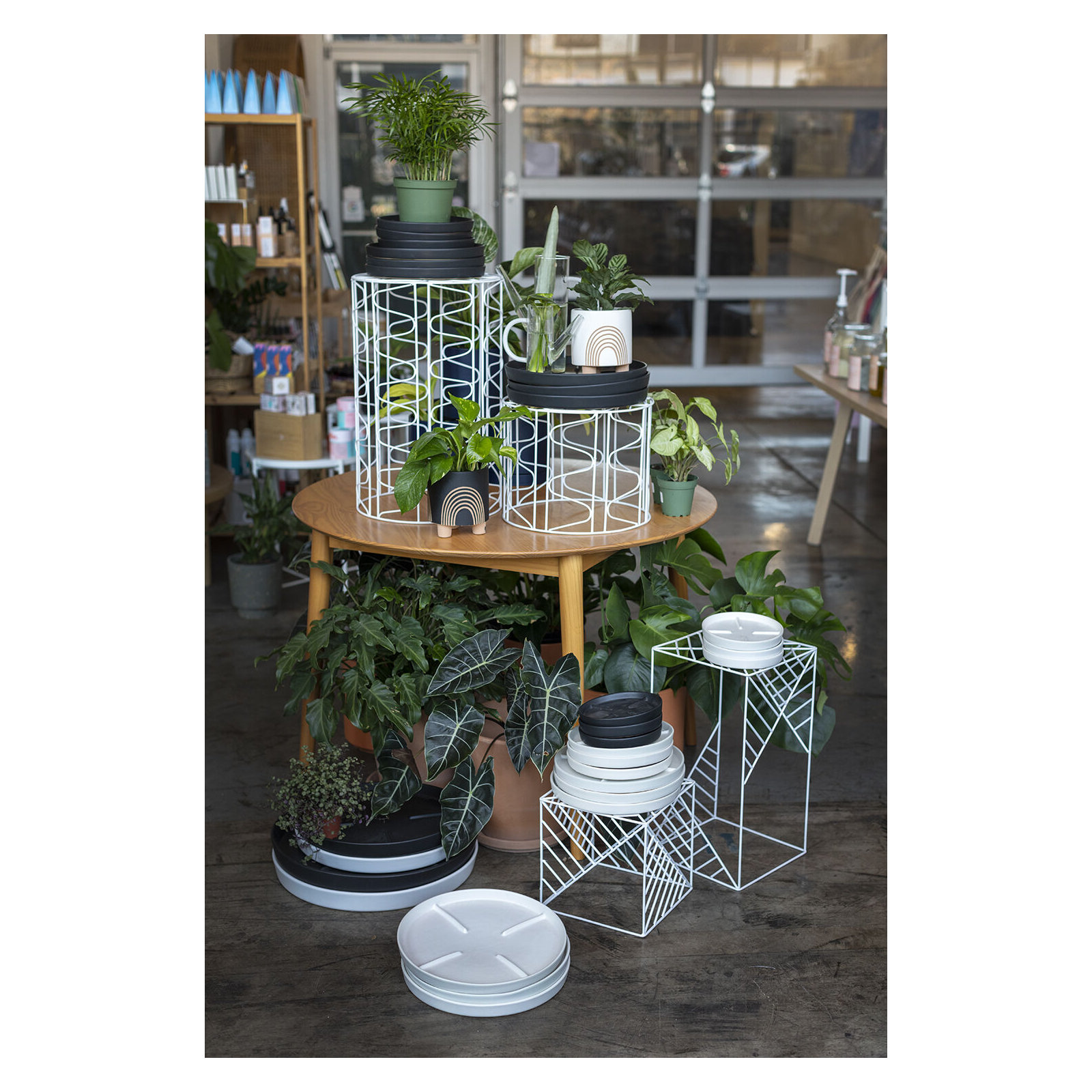 Noha Saucer Plant Stand, Black, 1.25" H x 13" W x 11" D