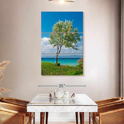 Harnek Seaside Olive Tree