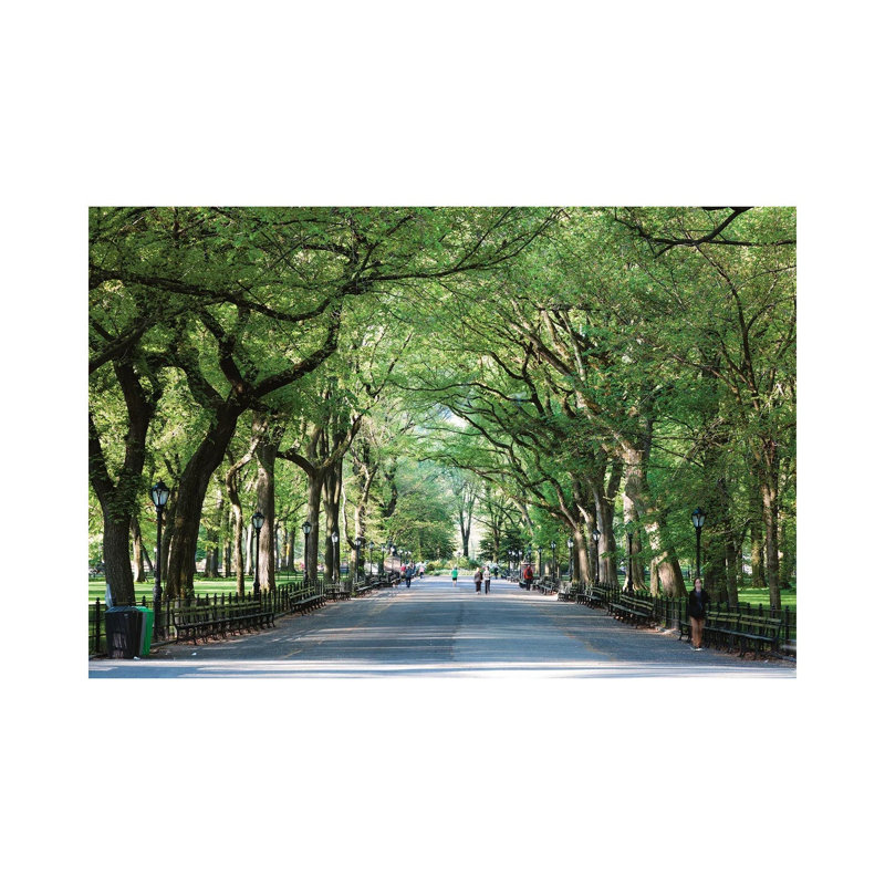 The Mall, Central Park, H 26 po x l 40 po x 1,5 po