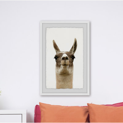 Llama Face - Single Picture Frame Print