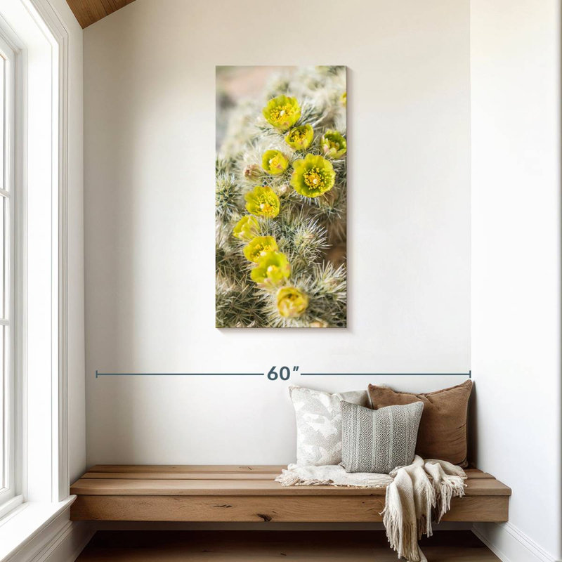 Cactus argenté Cholla, H 42 po x l 21 po