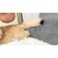 Pet Stairs With Steps-896757979