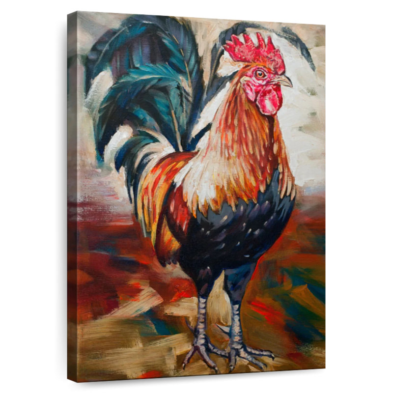 Coq Brampt Solo, H 45 po x l 30 po