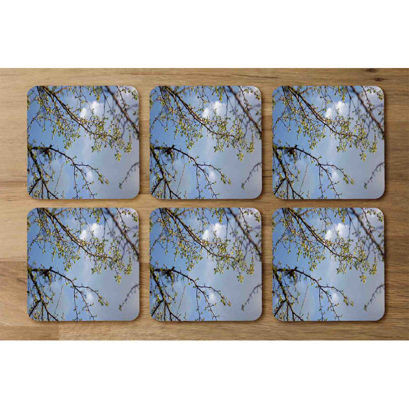 Benzonia Square 6 Piece Coaster Set