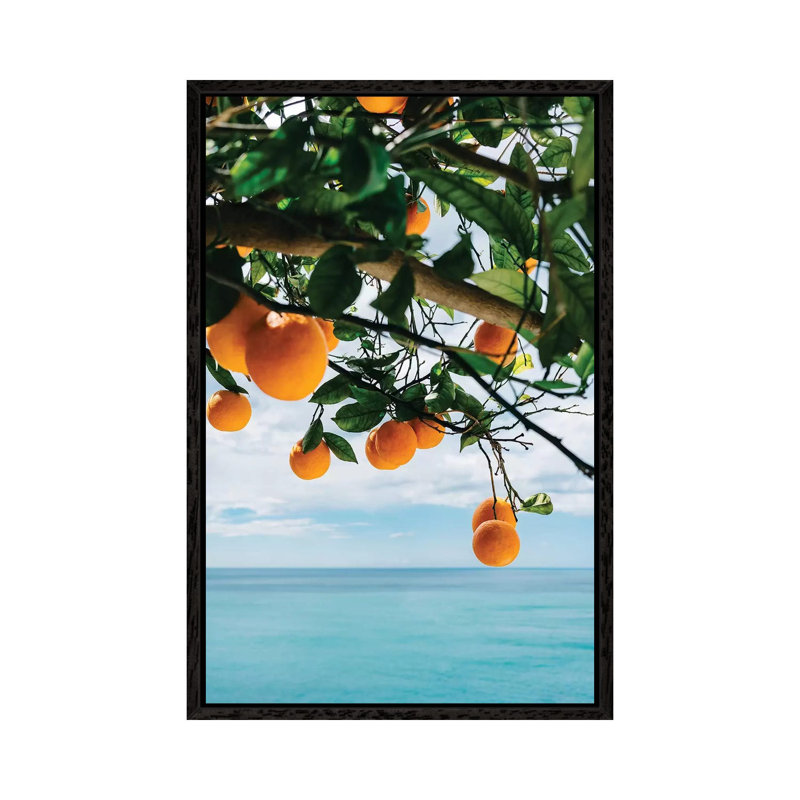 Amalfi Coast Oranges IV by Bethany Young - Print on Canvas, Black Framed, 66.04cm H x 45.72cm W x 3.81cm D