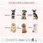 Steel Collapsible Pet Carrier-1380349932