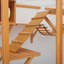 Outstanding Outdoor Cat Enclosure With Multiple Play Features And Weather Protection