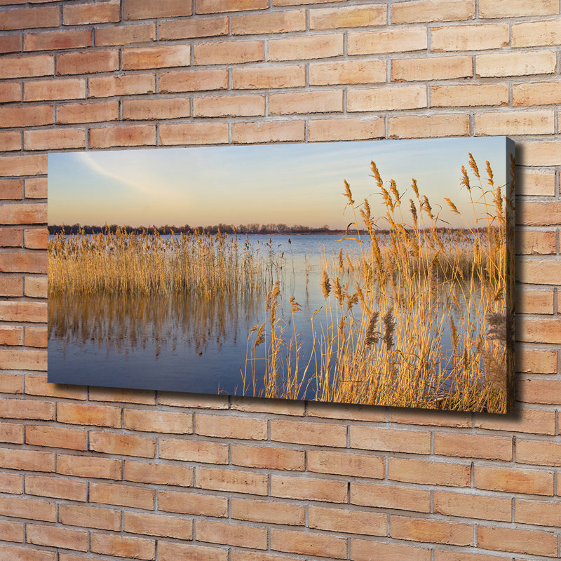Watercane - Wrapped Canvas Print