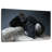 Brampt Daydreaming Gorilla-108872181