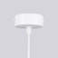 Wynnwood 6 - Light Chandelier-50959689