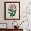 Protea N13 - Peinture sur toile encadrée-267897614-267897840