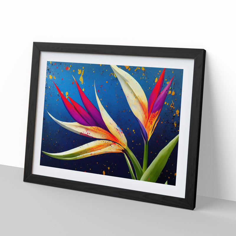 Bird Of Paradise Flower Splash Vol.5 - Single Picture Frame Print, 46cm H x 64cm W x 2cm D, Black
