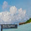 Palmiers romantiques douillets sur la plage tropicale avec 12 crochets-1069361595