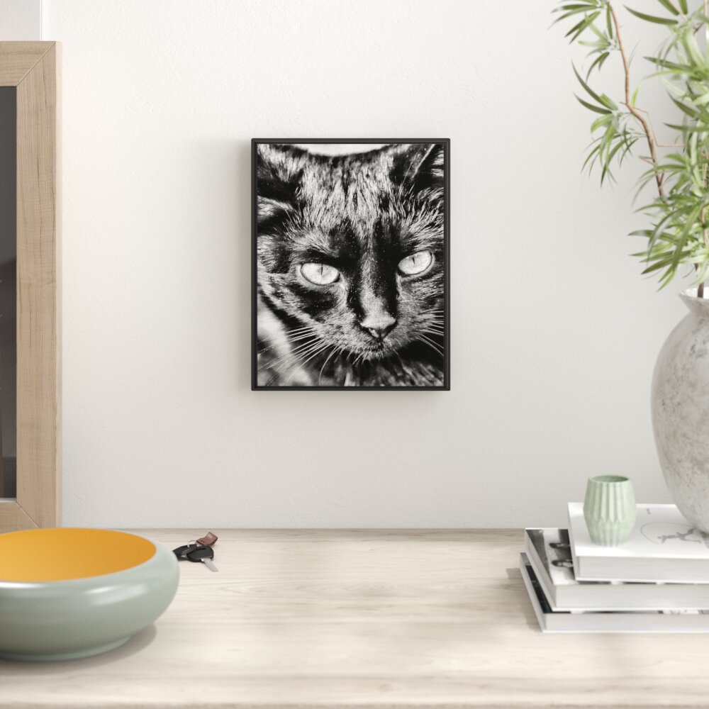 Gerahmtes Wandbild schwarze Katze