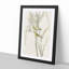Prairie Warbler Birds by John Audubon - Picture Frame Painting Print-55601781-55601785