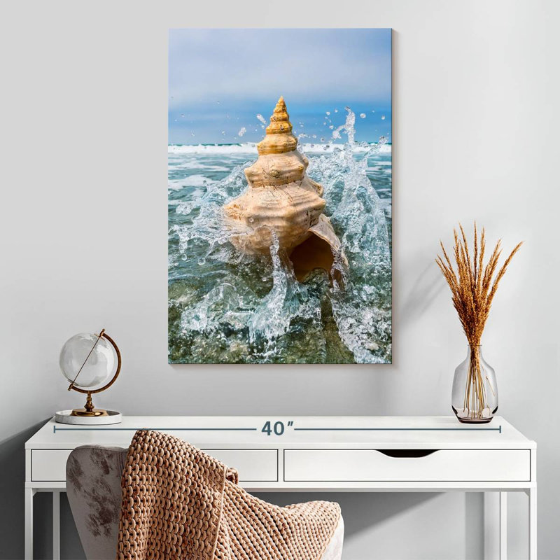 Coquillage Aletra, H 30 po x l 20 po