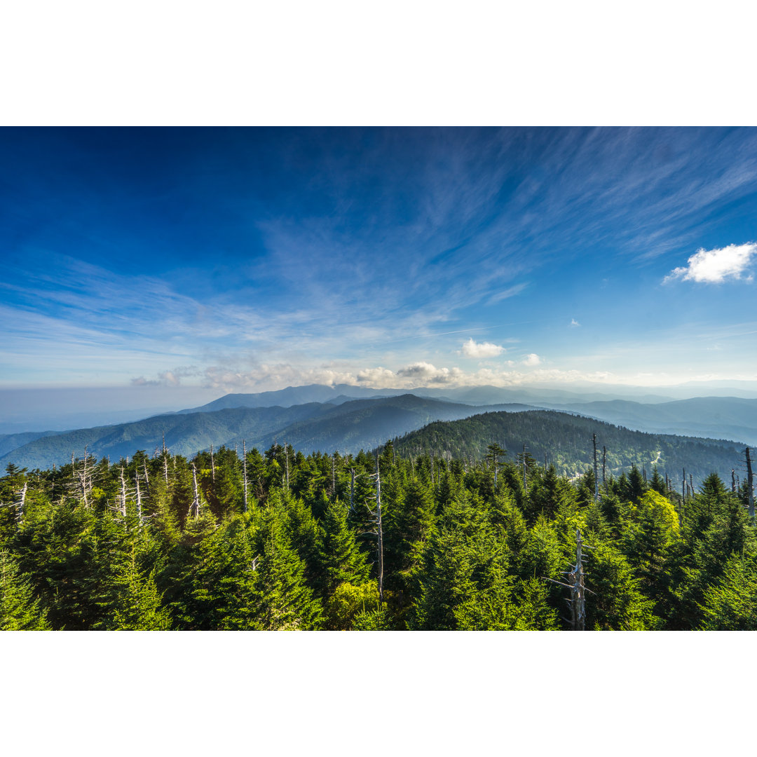 Smoky Mountains von JimSchemel - Kunstdrucke auf Leinwand