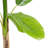 64'' Faux Banana Leaf Plant in Pot