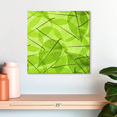Kerner Skeleton Green Leaves