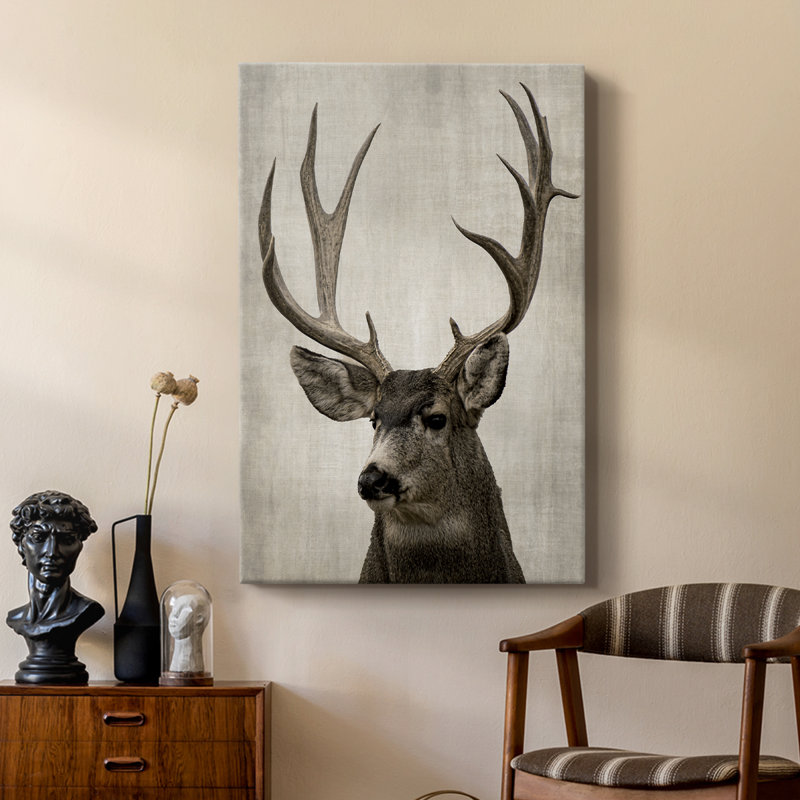 Colorado Buck -Custom Wrapped Gallery Cavas