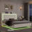 Upholstered Platform Bed with LED Lights, Charging Port, Floating Bed-2081658569-2083676633