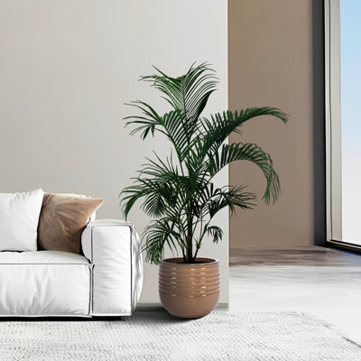 De 3 jardinières modernes en céramique antique bronze, toutes saisons, renforcées, drainage intégré, parfait pour le jardin, pot de fleurs pour patio, divers réglages, finition, trou de drainage