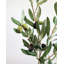 Faux Olive Tree Branch