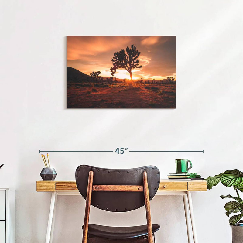 Nicci Joshua Tree Desert Sunset, H 20 po x l 30 po