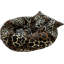 Beignet de lit pour animal de compagnie-623219075