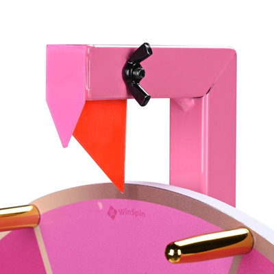 Salon des pièces de rechange pour roues de prix WinSpin Gold Pegs & Red Pointer
