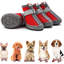 Chaussure pour chien antidérapante pour chien Summer-131215909
