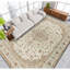 Elegance Oriental Area Rug in Beige/Ivory