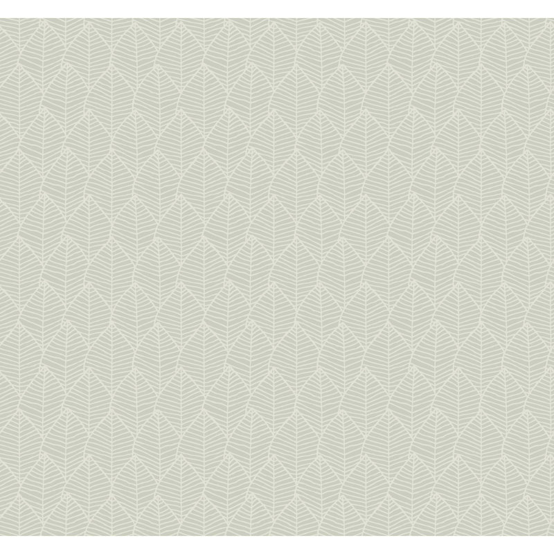 Rouleau de papier peint double Candice Olson, Gris chaleureux