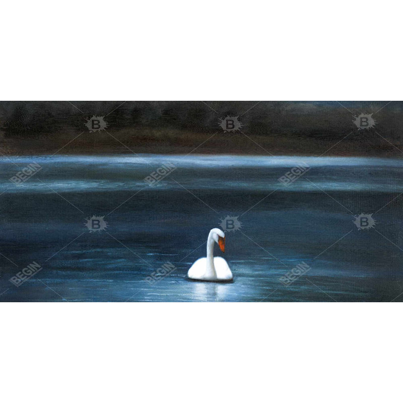Beautiful swan - 15.75"x31.50" Desk mat