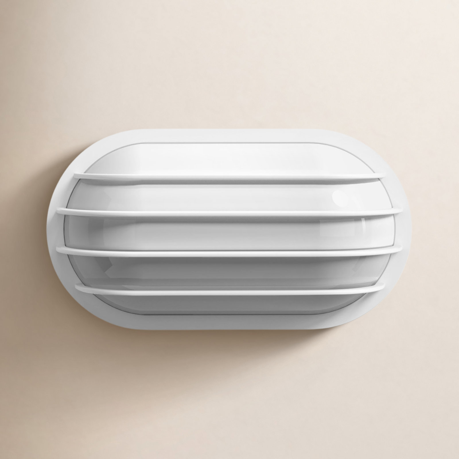 Valinda Outdoor Wall Lantern