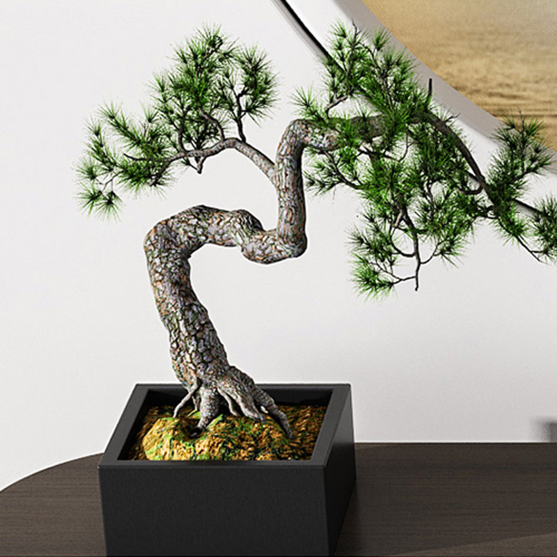 Nouvelle console en bois massif de style chinois, Noir / brun noyer, H 33,5 po x l 63 po x P 11,8 po