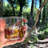 6oz. Whiskey Glass Set