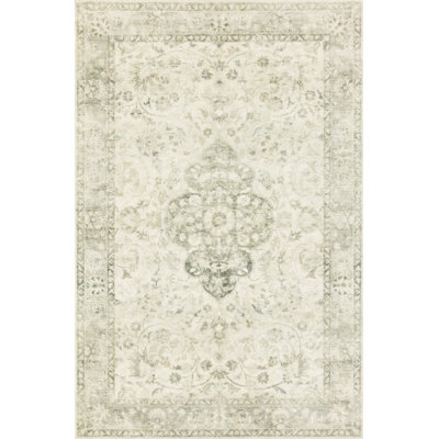 Oriental Area Rug in Ivory/Silver