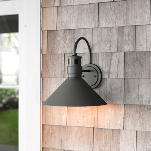 Rafal 1-Light Dusk To Dawn Sensor and Motion Sensor Outdoor Wall Lights